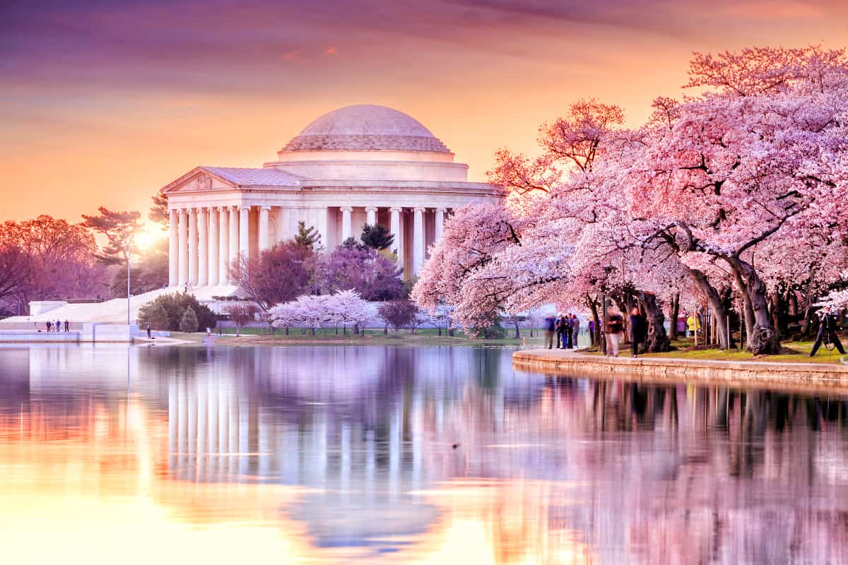 DC-Destination-Page-Single-Image